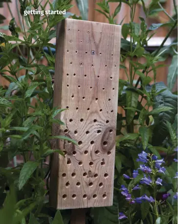  ?? ?? Transform a block of wood into a simple hotel where bees can nest