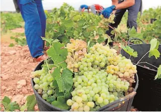  ?? ABC ?? El juez les acusa de vender vinos sin sello de calidad