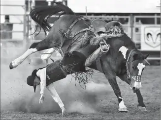  ?? Herald photo by Tijana Martin ?? Hunter Sawley gets thrown off his horse while competing in saddle bronc riding during the first night of the second annual Lethbridge Whoop-Up Days Bucking & Barrels rodeo on Thursday night.