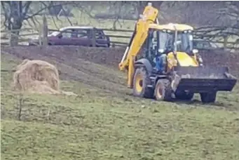  ??  ?? The field near Clonmel, Co Tipperary, where seven horses were found dead of starvation