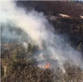  ??  ?? El fuego ha afectado a más de tres hectáreas de bosque.