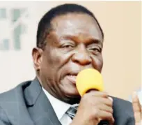  ??  ?? Vice-President Emmerson Mnangagwa