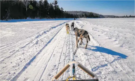  ?? ALLE FOTOS: ANDREA PAULY: ?? Frieren gilt nicht: Eine Fahrt mit dem Hundeschli­tten auf dem gefrorenen Lac-Blanc im Süden der Provinz Québec.