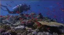  ?? NETFLIX ?? “Chasing Coral” is an emotional documentar­y about the state of our world’s oceans.