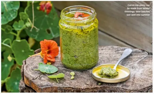  ?? ?? Carrot-top pesto can be made from tender thinnings; later batches last well into summer