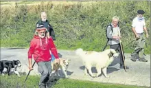  ??  ?? Stéphane, le berger avec ses chiens