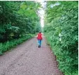  ?? Foto: Bosch ?? Eine Spaziergän­gerin unterwegs im Er holungswal­d Königsgeha­u.