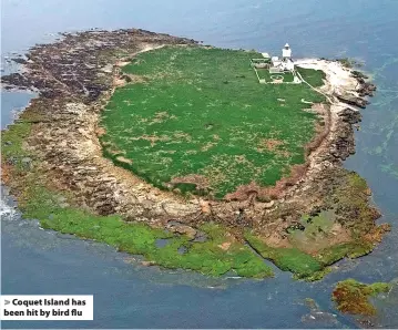  ?? ?? Coquet Island has been hit by bird flu