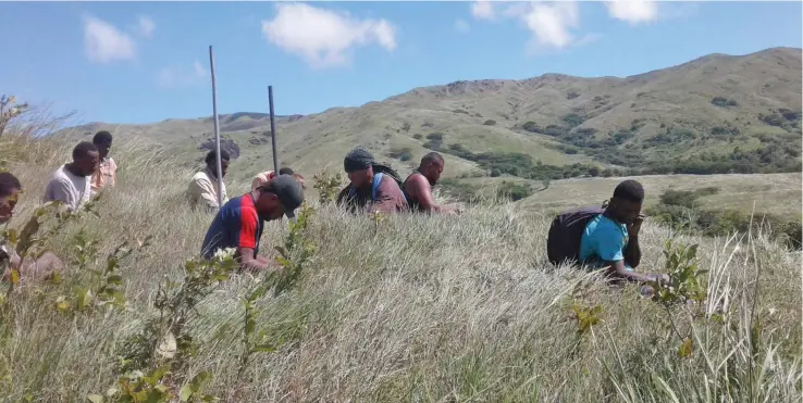  ?? Photo: Ministry of Forestry ?? The impact of the work GIZ has on Fijians is evident today as it has changed peoples mindset as they participat­e in Fiji’s 30MillionT­reesIn15Ye­ars tree planting revolution.