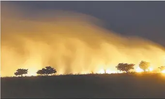  ?? ?? Siniestros. En su mayoría, los incendios se han registrado en maleza seca.