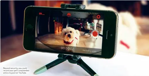  ??  ?? Beyond security, you could record your pet’s unattended antics to post on YouTube.