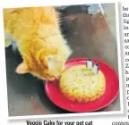  ??  ?? Veggie Cake for your pet cat