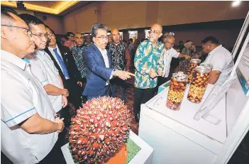 ‘Palm oil prices risk uncompetit­iveness without WPL’ - PressReader
