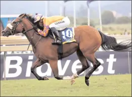  ?? Picture: Nkosi Hlophe ?? The Corrine Bestel-trained SHE’S A FORTRESS won at Scottsvill­e on Sunday. She is She’s A Winner’s three-year-old daughter by Fort Wood.