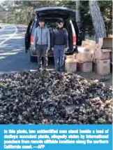  ??  ?? In this photo, two unidentifi­ed men stand beside a load of dudleya succulent plants, allegedly stolen by internatio­nal poachers from remote cliffside locations along the northern California coast. —AFP