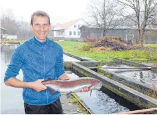  ?? FOTO: OBERLÄNDER ?? Markus Helbig zieht eine Lachsforel­le aus dem Becken.