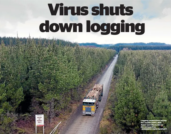  ?? DOMINICO ZAPATA/STUFF ?? Logging contractor­s across the country have shut down operations due to the coronaviru­s.