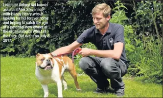  ??  ?? Leicester Animal Aid kennel assistant Alex Stevenson with Happy Henry who is looking for his forever home and hoping to catch the eye of a potential new owner at the organisati­on’s Who Let the Dogs Out event on July 8 2017.