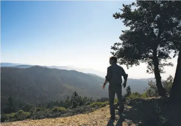  ?? Photos by Santiago Mejia / The Chronicle 2019 ?? Above: Sam Hodder, president and CEO of Save the Redwoods League, tours the 564acre Cascade Creek property in the Santa Cruz Mountains. Below: The redwood trees at Cascade Ranch in Pescadero.