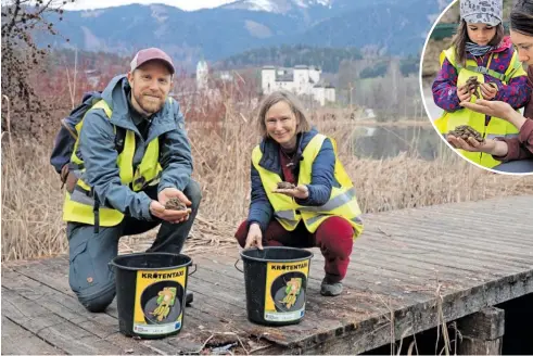  ?? BILDER: SN/MINICHBERG­ER ?? Johannes Reitsamer und Maria Jerabek organisier­en die betreute Amphibiens­trecke in Goldegg. Die kleine Blanka und Pädagogin Anna Stöger mit Erdkröten.