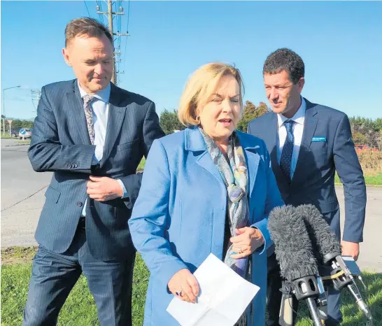  ?? Photo / Audrey Young ?? National leader Judith Collins campaignin­g with retiring Wairarapa MP Alistair Scott (left) and new candidate Mike Butterick.