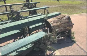  ?? EVAN BRANDT — MEDIANEWS GROUP ?? Floodwater­s deposited this stump in the bleachers at Sundstrom Field in Pottstown.