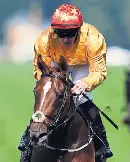 Cercene’s Coronation ends wait for Murphy - PressReader