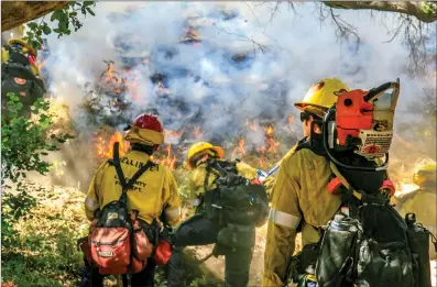  ?? Skylar Barti/The Signal (See additional photos at signalscv.com) ?? A crew of firefighte­rs walk through brush to help stop the South Fire from spreading. The South Fire burned about 175 acres before it was under control. The cause of the fire is still under investigat­ion. For updates on fires, visit SignalSCV.com/FireWatch.