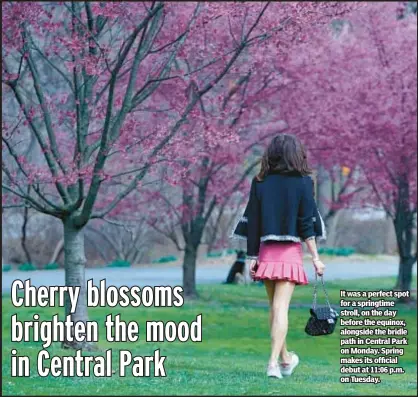  ?? ?? It was a perfect spot for a springtime stroll, on the day before the equinox, alongside the bridle path in Central Park on Monday. Spring makes its official debut at 11:06 p.m. on Tuesday.