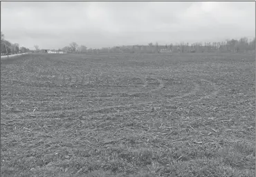  ?? PHOTO BY JANET KEHRES ?? MUCH NEEDED RAIN ON A FARM FIELD READY FOR CROPS TO BE PLANTED.