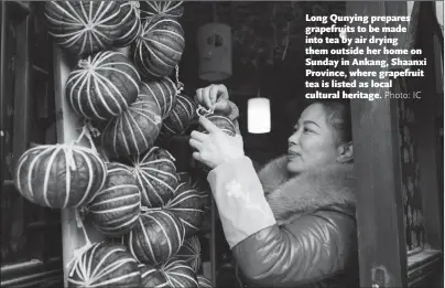  ??  ?? Long Qunying prepares grapefruit­s to be made into tea by air drying them outside her home on Sunday in Ankang, Shaanxi Province, where grapefruit tea is listed as local cultural heritage.