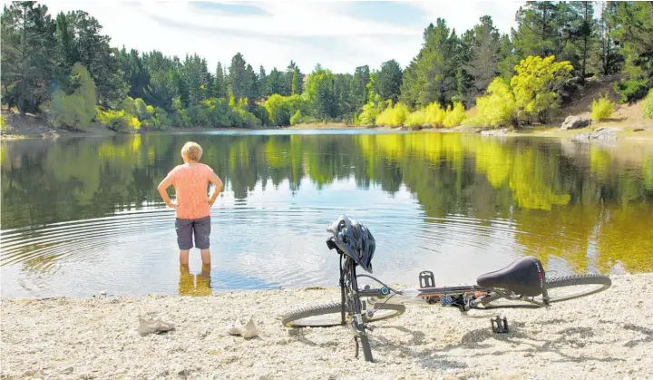  ?? ?? Roxburgh's two epic mountain-biking trails include Clutha Gold (pictured) and Roxburgh Gorge. Photos / James Jubb, Tourism Central Otago