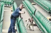  ?? REUTERS ?? In light of the recent attacks in Tunisia, Kuwait and France, security across the UK has been scaled up. A sniffer dog checks the stadium for any possible explosives.