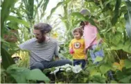  ?? STEVE RUSSELL/TORONTO STAR ?? Anthony McCanny, with neighbours Cy and Stella Rosenthal, in their front yard “farm,” which they created in May, and which now produces corn, beans and a variety of other vegetables.