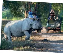  ?? ?? Kaziranga National Park is one of the places Reddy likes to holiday with her kids.