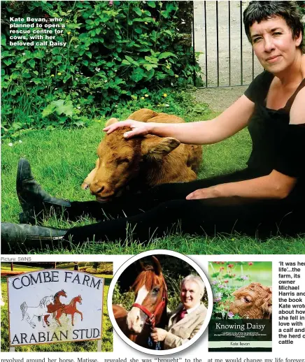  ?? Picture: SWNS ?? Kate Bevan, who planned to open a rescue centre for cows, with her beloved calf Daisy