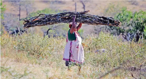  ?? | BONGANI MBATHA African News Agency (ANA) ?? A WOMAN carrying firewood rushes to drop it off at her home so that she can join other women who were ululating during the warriors’ march at former president Jacob Zuma’s homestead in Nkandla yesterday.