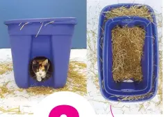  ?? ?? DIY this insulated cat shelter!