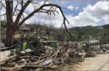 ?? HECTOR ALEJANDRO SANTIAGO VIA AP ?? This undated photo provided by Hector Alejandro Santiago shows his farm in Barranquit­as, Puerto Rico, destroyed by Hurricane Maria. For 21 years, Santiago raised poinsettia­s, orchids and other ornamental plants which were sold to major retailers...