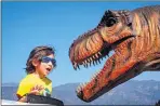  ?? WATCHARA PHOMICINDA — STAFF PHOTOGRAPH­ER ?? Ricardo Rocha, 4, of Pomona reacts as he looks at dinosaur models at the Jurassic Quest DriveThru Experience at the Fairplex in Pomona on Feb. 24. The exhibit featured over 70 moving and lifelike dinosaurs for the public to see.