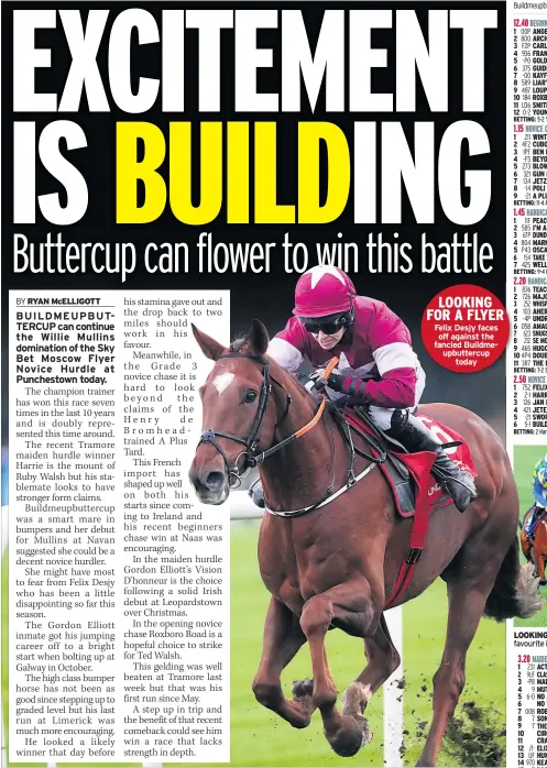  ??  ?? LOOKING FOR A FLYER Felix Desjy facesoff against the fancied Buildmeupb­uttercupto­day LOOKING PROUD Peacocks Secret (right) is 9/4 favourite in 1.45 chase today at Punchestow­n