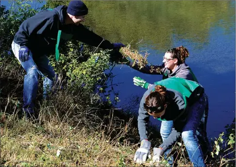  ?? Booster photo by Scott Anderson ?? Volunteers lending their support to the Stark & Marsh Go Green Friday initiative assisted in completing a Swift Current Creek Watershed Stewards project along the Swift Current Creek in the Elmwood Park area.