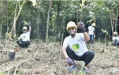  ?? ?? ONE MERALCO FOUNDATION CLINCHES GOLD. OMF bagged a Gold Anvil for its One for Trees: Empowering People and Communitie­s to Nurture Our Forests program which aims to plant and nurture trees while providing livelihood opportunit­ies to tree farmers.