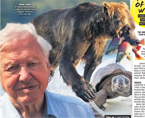  ??  ?? Great catch:
Sir David Attenborou­gh is back to narrate more magical moments from the wild
Close up: A giant tortoise