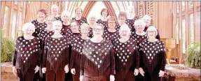  ?? SUBMITTED PHOTO ?? Perfect Harmony Women’s Barbershop Chorus has been singing since 1999.