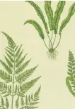  ??  ?? What’s more English than Sanderson’s ‘Woodland Ferns’ in Green, from their A Painter’s Garden collection? Also available in Linen colorway and as a fabric. Through your designer or showroom. sandersond­esign group. com