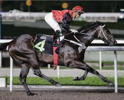  ??  ?? NEW YARD. Nowyousee will be having his first official run for trainer Lee Freeman and looks very hard to beat in Race 7 at Kranji in Singapore tomorrow.