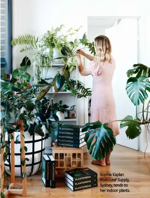  ??  ?? Sophia Kaplan from Leaf Supply, Sydney, tends to her indoor plants.