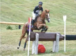  ??  ?? Course specialist Andrew Nicholson, ERM CIC3* runner-up on Nereo