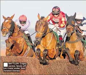  ??  ?? BATTLER: Cogry, centre, fends off his rivals under Sam Twiston-Davies